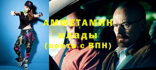прущие грибы Бронницы