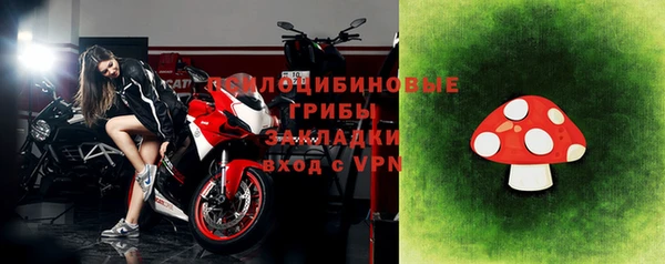 прущие грибы Бронницы