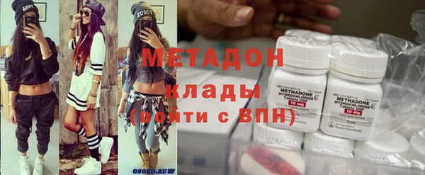 прущие грибы Бронницы