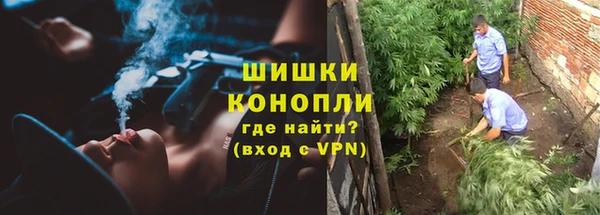 прущие грибы Бронницы
